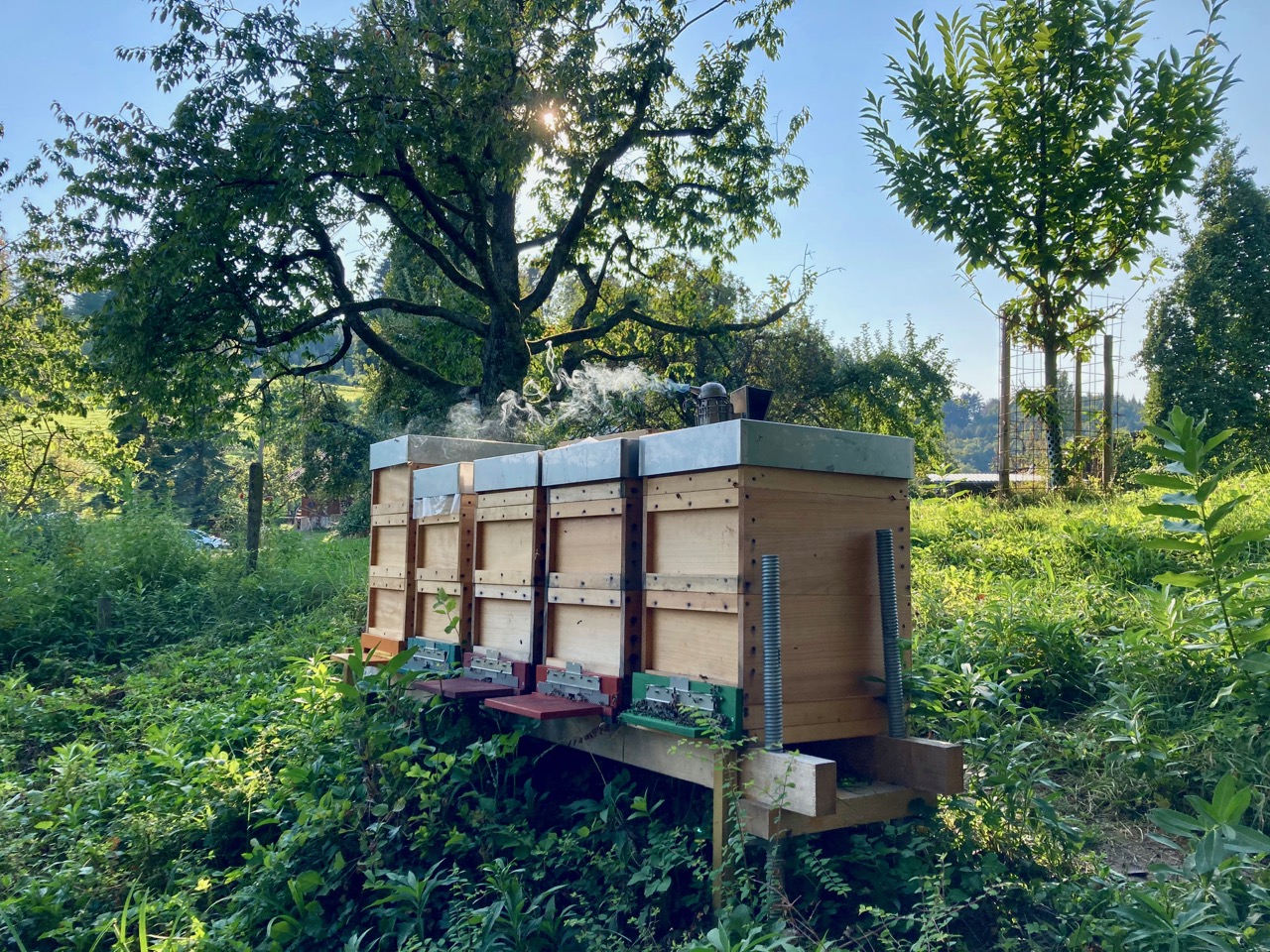 unsere Magazin-Beuten